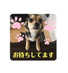 ちわっくすのラムちゃん（個別スタンプ：22）