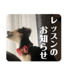 ちわっくすのラムちゃん（個別スタンプ：38）