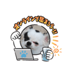 ☆心菜の☆たまに関西弁普段使いスタンプ（個別スタンプ：1）