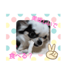 ☆心菜の☆たまに関西弁普段使いスタンプ（個別スタンプ：7）