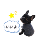 フレンチブルドックのあずき＆きなこ（個別スタンプ：4）