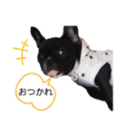 フレンチブルドックのあずき＆きなこ（個別スタンプ：8）