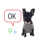 フレンチブルドックのあずき＆きなこ（個別スタンプ：10）