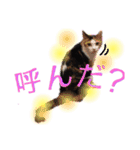 ピノ・ポンスタンプ（個別スタンプ：1）