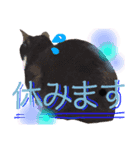 ピノ・ポンスタンプ（個別スタンプ：7）
