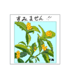 ミチコスタンプ NO8 冬の 木の実（個別スタンプ：3）