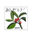 ミチコスタンプ NO8 冬の 木の実（個別スタンプ：4）