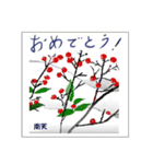 ミチコスタンプ NO8 冬の 木の実（個別スタンプ：9）