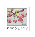 ミチコスタンプ NO8 冬の 木の実（個別スタンプ：11）