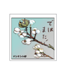 ミチコスタンプ NO8 冬の 木の実（個別スタンプ：16）