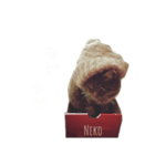 のんべんだらりねこ（個別スタンプ：8）