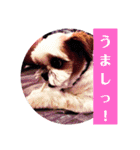 くるみ☆スタンプ5（個別スタンプ：16）