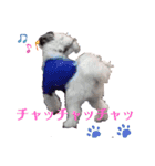 くるみ☆スタンプ5（個別スタンプ：21）