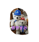 コロコロコロルくんの日常2（個別スタンプ：5）