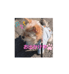 すず姫の日常♡（個別スタンプ：1）