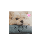すず姫の日常♡（個別スタンプ：2）