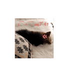 すず姫の日常♡（個別スタンプ：4）