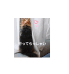 すず姫の日常♡（個別スタンプ：5）