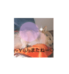 すず姫の日常♡（個別スタンプ：7）