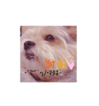 すず姫の日常♡（個別スタンプ：8）