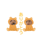 ゆちまろスタンプ（個別スタンプ：2）