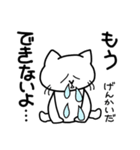 挑戦するねこ（個別スタンプ：16）