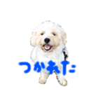 ふくくんスタンプ3（個別スタンプ：4）