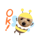 ふくくんスタンプ3（個別スタンプ：5）