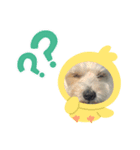 ふくくんスタンプ3（個別スタンプ：6）