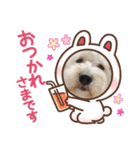 ふくくんスタンプ3（個別スタンプ：7）
