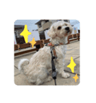 ふくくんスタンプ3（個別スタンプ：8）