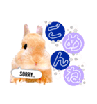 うぃる*（個別スタンプ：3）