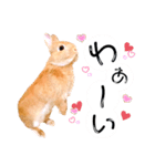 うぃる*（個別スタンプ：6）