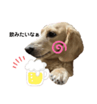 みんないっしょ！（個別スタンプ：11）