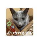 みんないっしょ！（個別スタンプ：16）