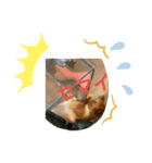 ピンクにシルク（個別スタンプ：6）