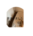 ピンクにシルク（個別スタンプ：7）