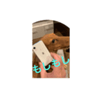ピンクにシルク（個別スタンプ：8）