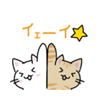 ゆるねこマニア 白 #001（個別スタンプ：4）