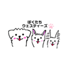 ぼくたちウェスティーズ（個別スタンプ：1）