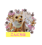みるたん むぎたんの 応援スタンプ（個別スタンプ：2）