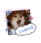 みるたん むぎたんの 応援スタンプ（個別スタンプ：4）