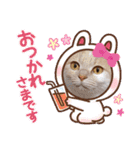 みるたん むぎたんの 応援スタンプ（個別スタンプ：9）