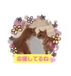 みるたん むぎたんの 応援スタンプ（個別スタンプ：14）