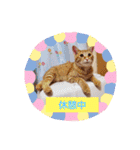 みるたん むぎたんの 応援スタンプ（個別スタンプ：17）