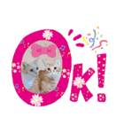みるたん むぎたんの 応援スタンプ（個別スタンプ：20）