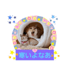 みるたん むぎたんの 応援スタンプ（個別スタンプ：23）
