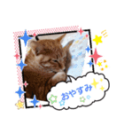 みるたん むぎたんの 応援スタンプ（個別スタンプ：32）