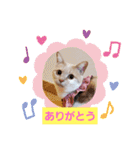 みるたん むぎたんの 応援スタンプ（個別スタンプ：35）