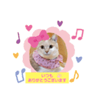みるたん むぎたんの 応援スタンプ（個別スタンプ：37）